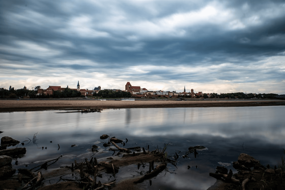 Wisła w pochmurny dzień, przy niskim stanie wody. Na pierwszym planie z płytkiej wody wystają kamienie i gałęzie, na drugim brzegu widać panoramę starego miasta z gotyckimi kościołami.
